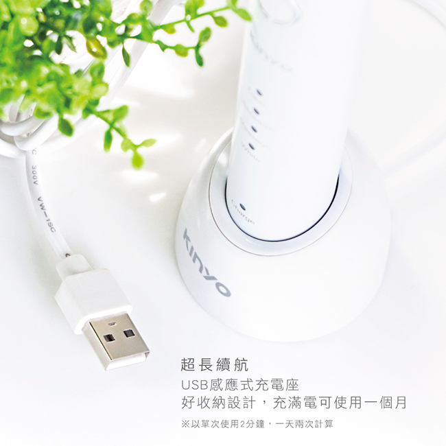 充電電動牙刷推薦